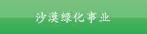 沙漠绿化事业