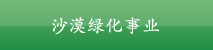 沙漠绿化事业