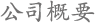 公司概要
