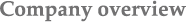 Company overview